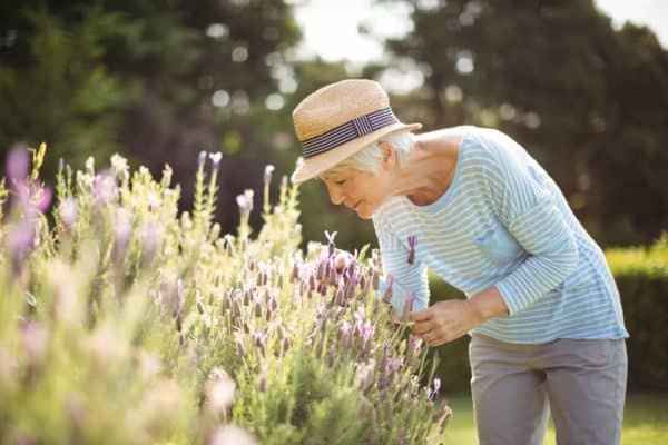 what is a cremation garden