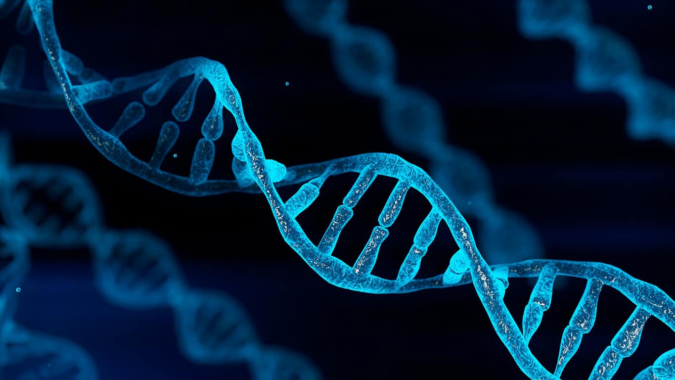 can you get DNA from ashes can you get dna from ashes