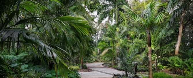 Park path in Orlando - Orlando cremation costs