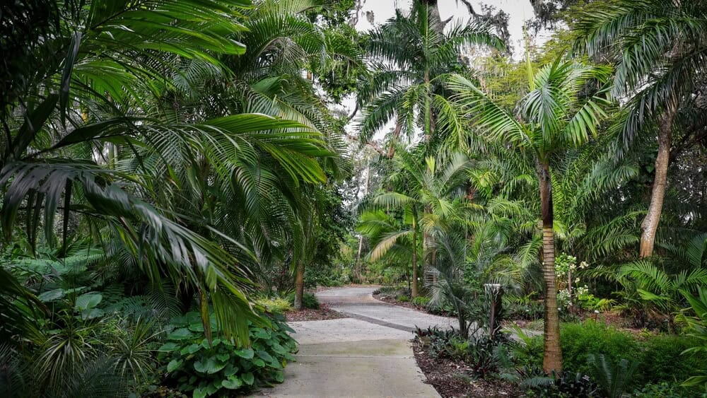 Orlando-cremation-costs Park path in Orlando - Orlando cremation costs