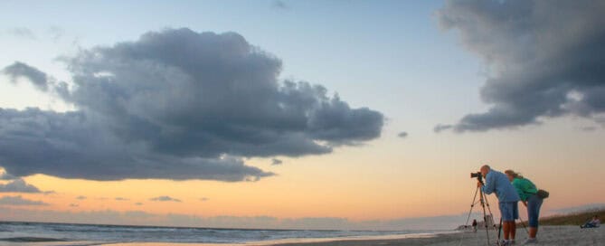green cremation - Florida options include scattering cremains at sea.